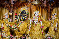 Daily Darshan