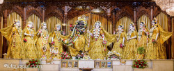 Daily Darshan