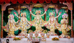 Daily Darshan