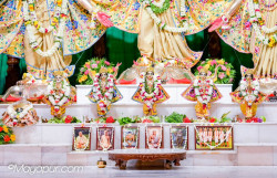 Daily Darshan