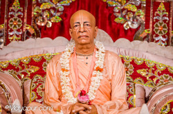 Daily Darshan