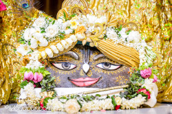 Daily Darshan