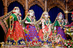 Daily Darshna