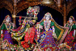 Daily Darshna