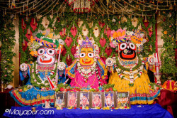 Daily Darshna