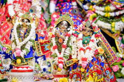 Daily Darshna