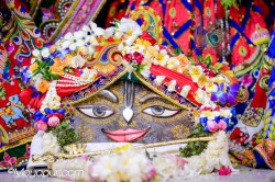 Daily Darshna