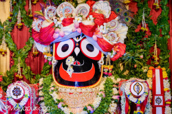 Daily Darshan