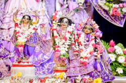 Daily Darshan