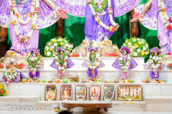 Daily Darshan
