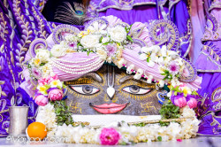 Daily Darshan