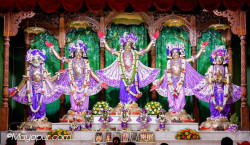 Daily Darshan