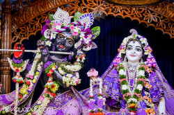 Daily Darshan
