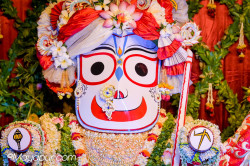 Daily Darshan
