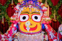 Daily Darshan
