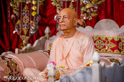 Daily Darshan