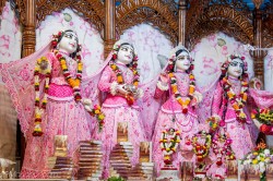 Daily Darshan