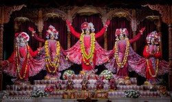 Daily Darshan