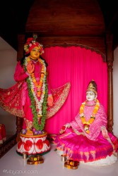 Daily Darshan
