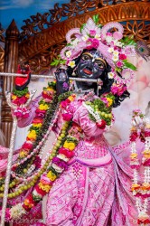 Daily Darshan