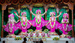 Daily Darshan