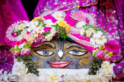 Daily Darshan