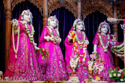 Daily Darshan