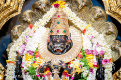 Daily Darshan