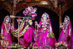 Daily Darshan