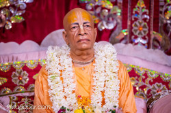 Daily Darshan