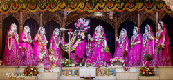 Daily Darshan