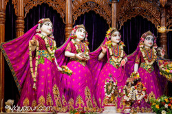 Daily Darshan