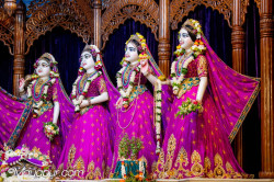Daily Darshan