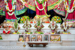 Daily Darshan