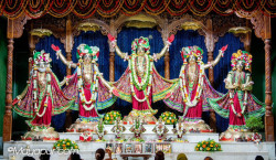 Daily Darshan