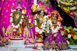 Daily Darshan