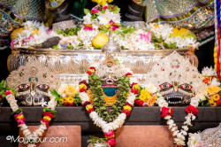 Daily Darshan
