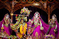 Daily Darshan