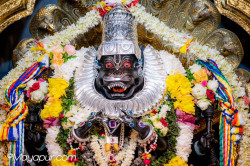 Daily Darshan
