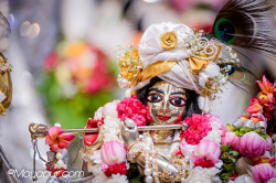 Daily Darshan