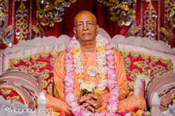 Daily Darshan
