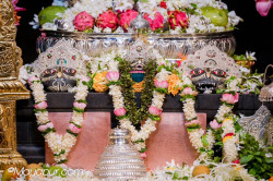 Daily Darshan