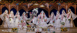 Daily Darshan