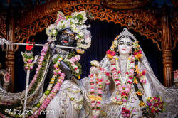 Daily Darshan
