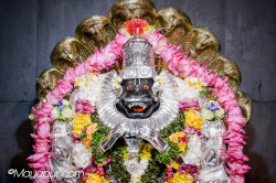 Daily Darshan