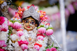 Daily Darshan