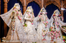 Daily Darshan
