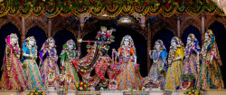 Daily Darshan