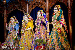 Daily Darshan