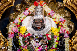Daily Darshan